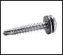 Evolution Fasteners 5.5 x 25mm A2 Bi-Metal Lowered Dome Head Screw Tek 3 (Box of 200) - A2LDH-12-5.5-25-3