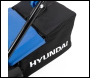 Hyundai HYSW1500E 1500W 32cm Electric Artificial Grass Sweeper and Lawn Brush - Code HYSW1500E