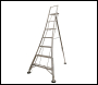 Werner Adjustable Tripod Ladder - 5 Tread - Working Height 3.17m - Code 92505