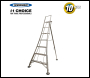 Werner Adjustable Tripod Ladder - 5 Tread - Working Height 3.17m - Code 92505