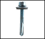 Evolution Fasteners Bi Metal Standard Tek Screw (Washered) - 5.5x75m - Box Qty 100 - BMBW5.5-75-3