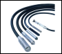 Belle BGP77 Poker c/w 4m Hose - Code 166.9.012