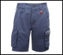 Helly Hansen Mjolnir Shorts - Code 76503