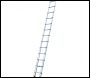 Youngman 30113800 Telescopic Ladder 3.7m