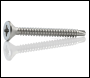 Evolution Self-Drilling Drywall Screw - 4.8mm x 90mm - per 200