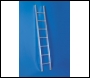 Lyte Heavy Duty C Section Single Section Aluminium Ladders