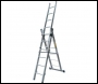 Lyte Professional Combination Ladder