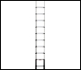 Telesteps 70241 Pro 4.1m Telescopic Ladder