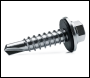 Evolution 6.3 x 22mm Bi Metal Hex Head Stitching Screw Qty 200