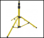 Red Arrow GLS30TPW 30W LED Globe Light 110V 5M Cable 16A Ind Plug/Socket IP54 - Non Emergency (Tripod Optional)
