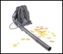 Hyundai HY4B76 76cc 4-Stroke Backpack Petrol Leaf Blower