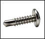 Evolution Fasteners A2 STAINLESS STEEL DOME HEAD SCREW 4.8x19mm Per 200 - SSLP4.8-19-3