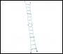 Werner 75056 4x6 Telescopic Combination Ladder